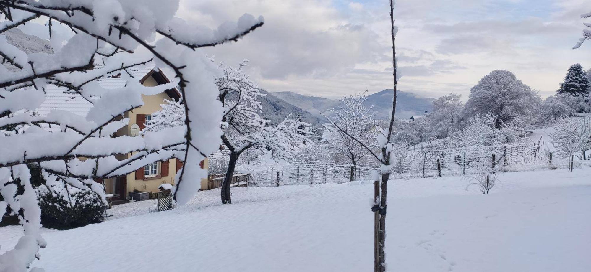 Appartement Douillet Avec Vue Sur Les Montagnes Fouchy エクステリア 写真