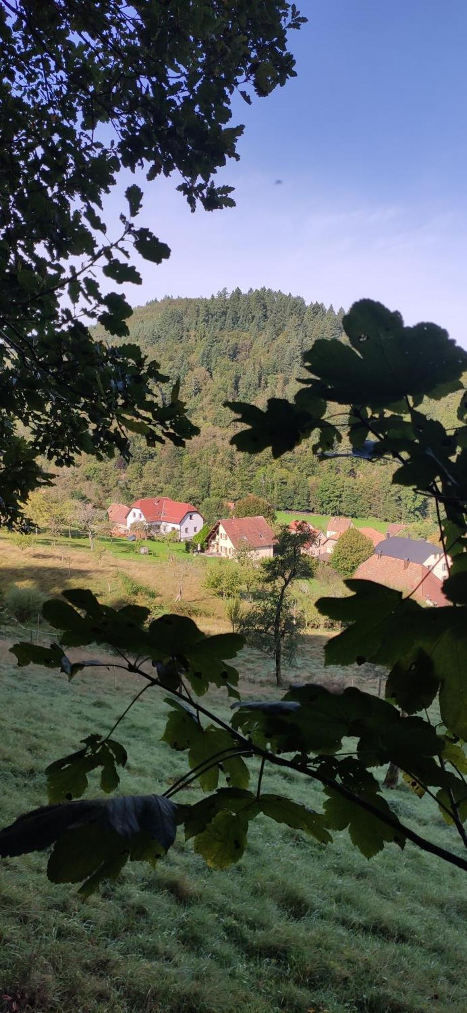 Appartement Douillet Avec Vue Sur Les Montagnes Fouchy エクステリア 写真
